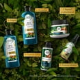 thumbnail image 5 of Shampoo Herbal Essences Bio:Renew Argan Oil Of Morocco 400 ml, 5 of 5