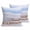 Blue, variant on Throw Pillow Covers 18x18 Inch Set of 2 Blue Brown Marble Decorative Pillows Cushion Case Soft Square Pillowcases Abstract Fluid Throw Pillows for Couch Sofa Bed Chair Home Decor