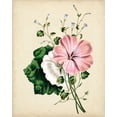 thumbnail image 2 of Vision Studio 26x32 Gold Ornate Wood Framed with Double Matting Museum Art Print Titled - Natures Romance V, 2 of 4