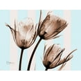 thumbnail image 2 of Koetsier, Albert 18x15 Black Ornate Wood Framed with Double Matting Museum Art Print Titled - Tulips Brown on Blue, 2 of 4