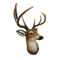 thumbnail image 3 of Ebros 8 Point Buck Deer Bust Champion Wall Mount Sculpture Plaque Figurine 21"H, 3 of 10