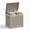Grey, variant on Joxxoaa 120 Gallon Resin Large Outdoor Storage Box for Patio Furniture, Outdoor Cushions, Garden Tools and Pool Floats, Black