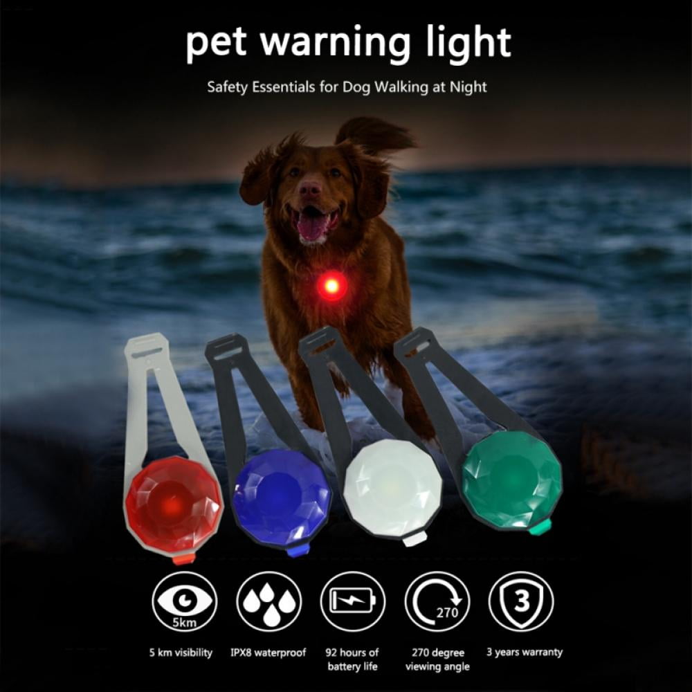 Dog walking 2025 safety lights