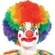 thumbnail image 5 of Paquete de 4 disfraces de payaso, peluca de payaso arcoíris + nariz de payaso + chaleco de payaso para Halloween, fiestas de cosplay, carnavales, disfraces, juegos de rol, favores de rendimi, 5 of 5