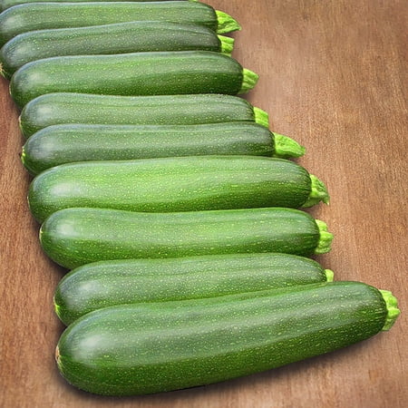 Bonnie Plants Organic Zucchini 14.6 oz “Plant” Hydroponic System, Disease-Resistant