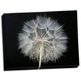 thumbnail image 2 of Gango Home Decor Goat's Beard 1 by Jim Christensen (Ready to Hang); One 24x18in Hand-Stretched Canvas, 2 of 4