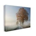 thumbnail image 3 of Stupell Foggy Road Sycamore Tree Landscape Photography Gallery Wrapped Canvas Print Wall Art, 3 of 5