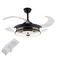 thumbnail image 6 of Modern Black Ceiling Lamp With Retractable Fan, 6 of 8
