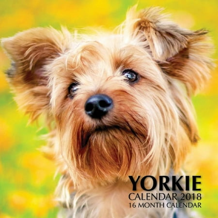 Calendar Cover - Yorkie Calendar 2018: 16 Month Calendar (Paperback)