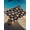 Blue, variant on Outdoor Sun Shade Sail 6.5'x10', Brown Basketball Football Patio Beach Shade Canopy Cloth Waterproof, Modern Art Ball Rustic TearResistant & UV Protection Sun Sail for Backyard Garden Deck
