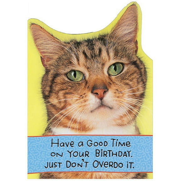 Recycled Paper Greetings Don't Overdo It Funny Birthday Card From The Cat