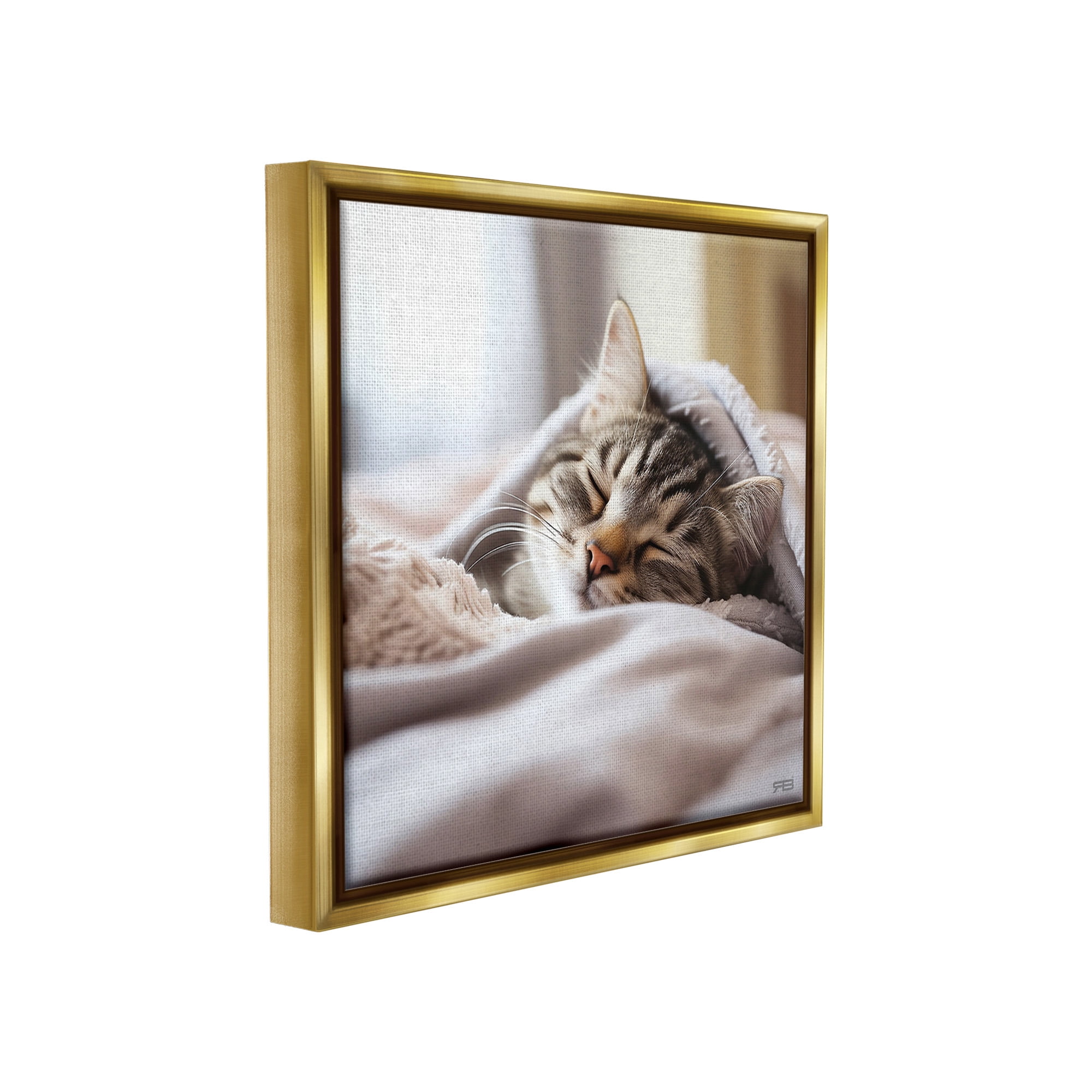 Stupell Industries Cozy Sleeping Kitten Animals & Insects Painting Gold Floater Framed Canvas Art Print Wall Art, 18 x 18