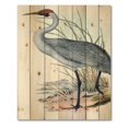 thumbnail image 3 of Designart 'Ancient Australian Birds V' Traditional Print on Natural Pine Wood, 3 of 5