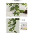 thumbnail image 4 of Plantas falsas Billuyoard Planta artificial Flor Simulación Hoja Vid Verde Type3 NO3, 4 of 6