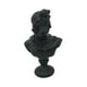 thumbnail image 5 of Busto de dios griego pequeño, decoración de escritorio para oficina, sala de estar, versátil. Apolo negro, 5 of 9