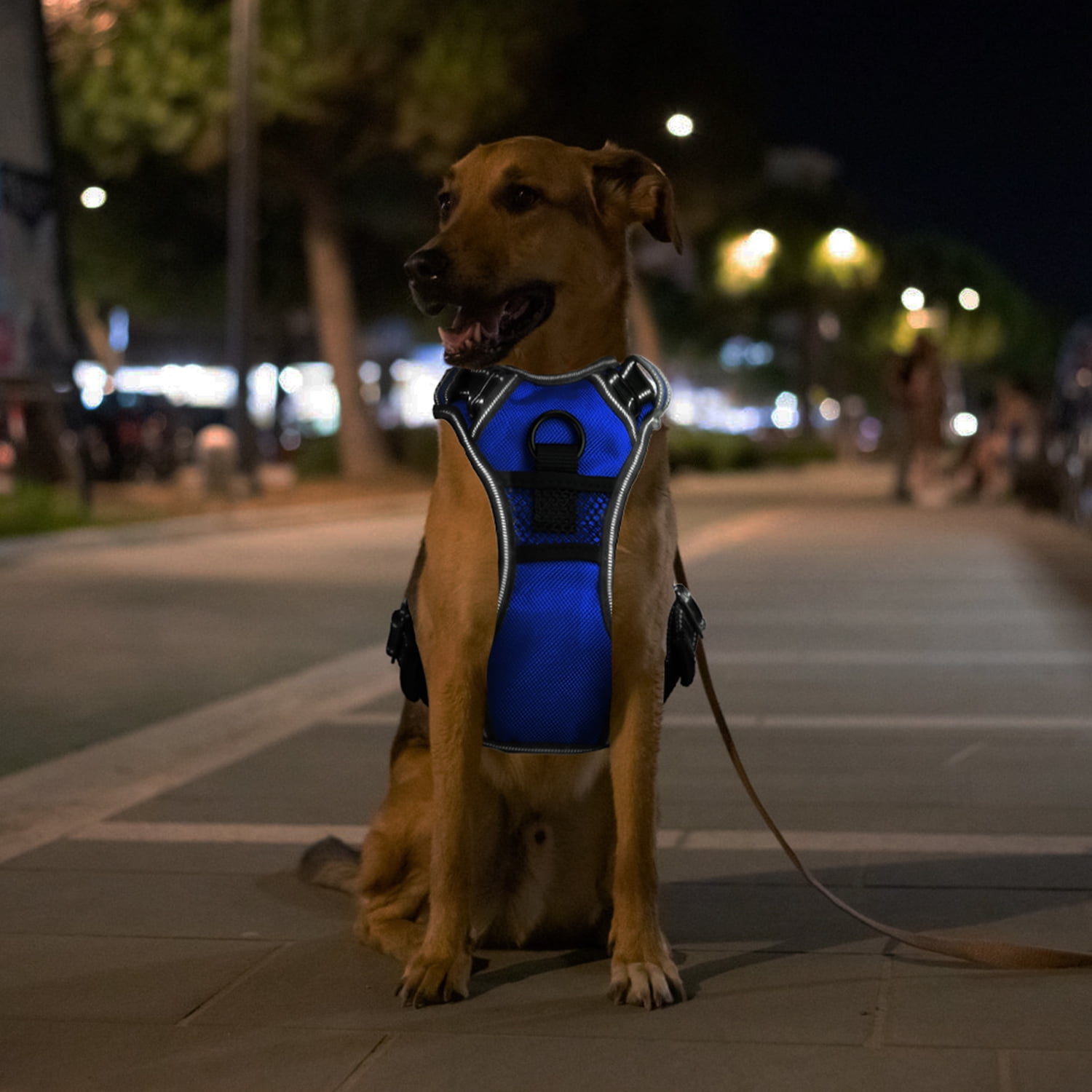 Teqhome Light Up Dog Harness LED No Pull Dog Harness Rechargeable Lighted Dog Vest Harness for Night Walking Adjustable Glowing Vest for 8.82-16.53lbs Dogs (Blue, S)