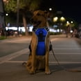 thumbnail image 4 of Teqhome Light Up Dog Harness LED No Pull Dog Harness Rechargeable Lighted Dog Vest Harness for Night Walking Adjustable Glowing Vest for 49.6-99.21lbs Dogs (Blue, XL), 4 of 12
