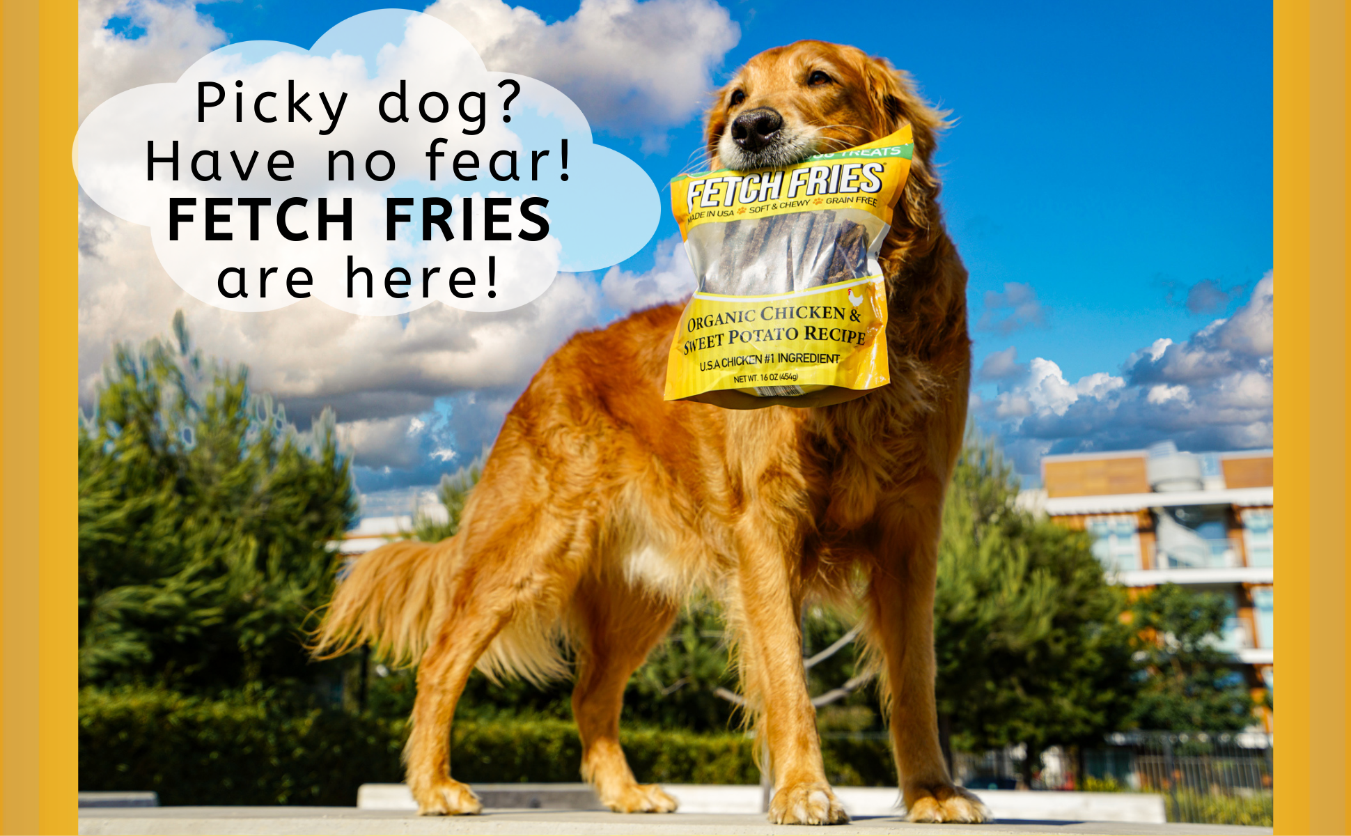 fetch fries dog treats