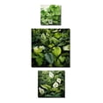 thumbnail image 2 of Designart "Meticulous Tropical Botanicals" Plants Oversized Traditional Clock - Set Of 3 - Extra large Clock For Office Décor - Large Vertical Clock, 2 of 6