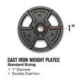 Weider Standard Weight Plate, 2.525 lbs. with Black Hammertone Finish