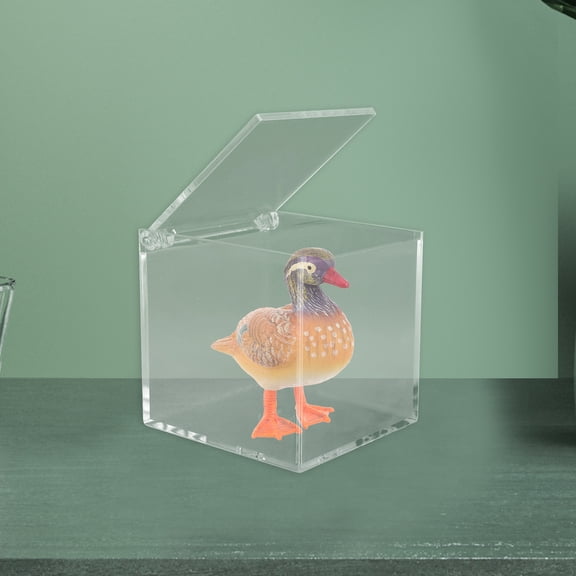 REACHISE Clear Acrylic Doll Display Case and Desktop Storage Box for Doll Holder, Paperclips Organizer, Transparent Display Box