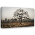 thumbnail image 1 of Vitaly Geyman 18x13 Gallery Wrapped Canvas Wall Art Titled - Frosty Tree, 1 of 4