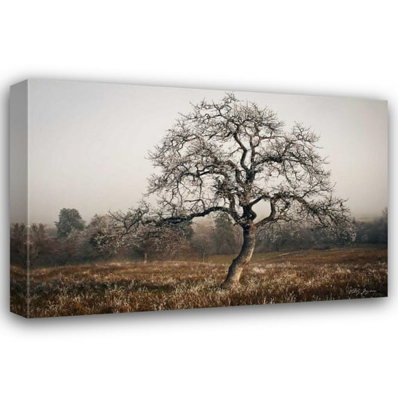 Vitaly Geyman 18x13 Gallery Wrapped Canvas Wall Art Titled - Frosty Tree