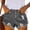 Gray, variant on High Waist Distressed Denim Shorts for Women Frayed Hem Button Fly Ripped Casual Fashion Jean Shorts with Pockets Black L