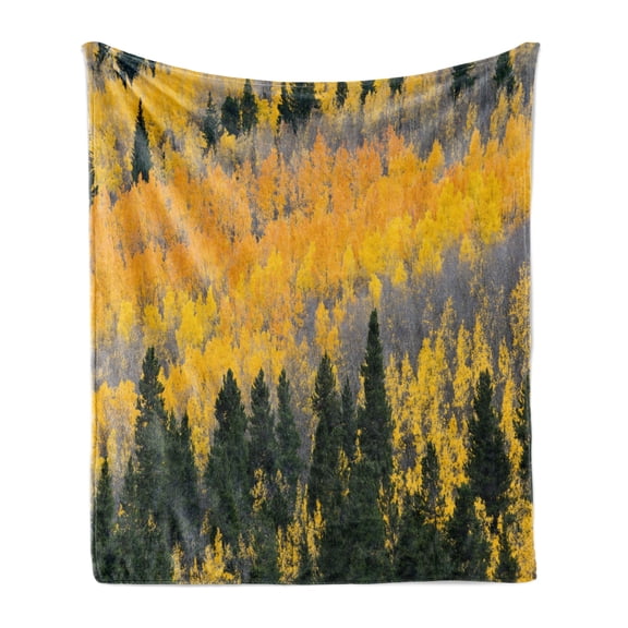 Fall Soft Flannel Fleece Blanket, Colorful Aspen Forest in Colorado Rocky Mountains Western Wilderness USA Theme, Cozy Plush for Indoor and Outdoor Use, 50" x 60", Green Yellow Grey, by Ambesonne