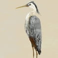 thumbnail image 2 of DeRice, Julie 15x15 White Modern Wood Framed Museum Art Print Titled - Heron on Tan II, 2 of 4