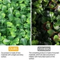 thumbnail image 7 of 20" x 20" Artificial Boxwood Hedge Panel 12PCS for Outdoor Garden Backyard, Green, 7 of 7