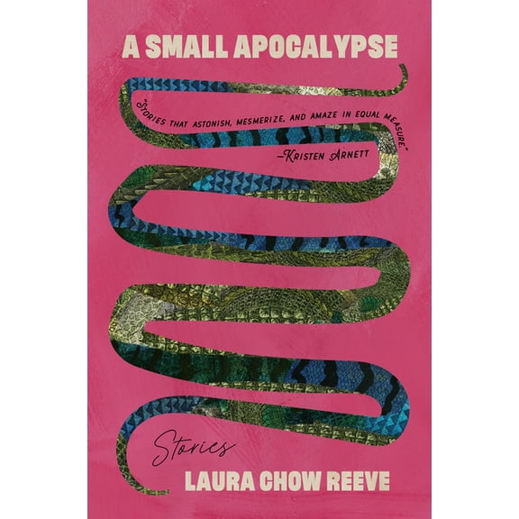 A Small Apocalypse: Stories, (Paperback)