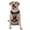 With Accessories, variant on Vsdgher Multicolored Butterflies Pattern Dog Harness,No Pull Pet Harness with Soft Padded Handle,Adjustable Reflective Vest with 2 Buckles,4 Slide Buckles,S-XL Medium