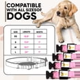 thumbnail image 4 of DOGGYLOVE LED Dog Collar – Lighted Collars for All Pets – USB Rechargeable Dog Collar for Pet Night Walking – Adjustable Light Up Dog Collar with Super Bright Safety - For Male/Female Dog (XL, Pink), 4 of 7