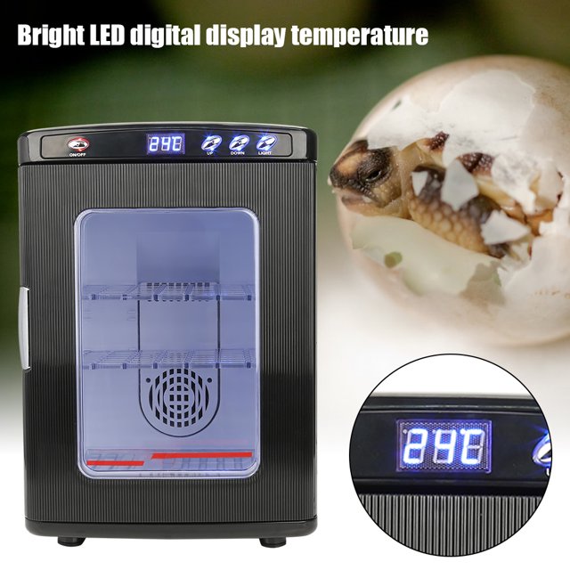 Máquina para incubar huevos de reptiles, Incubadora eléctrica de huevos de reptiles Incubadora eléctrica de huevos de reptiles Incubadora de huevos de reptiles Artesanía superior