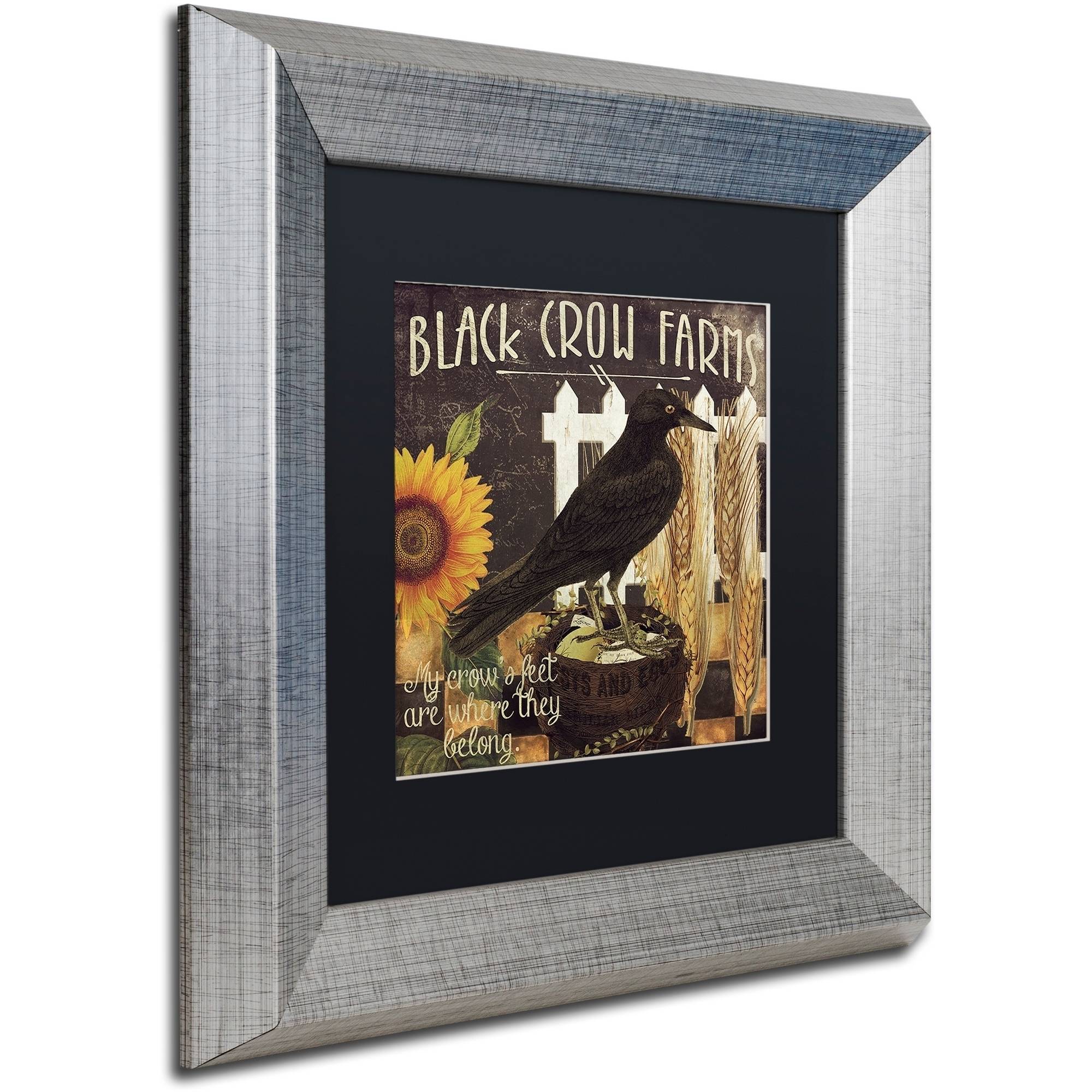 Trademark Fine Art "Vermont Farms X" Canvas Art by Color Bakery Black Matte, Silver Frame