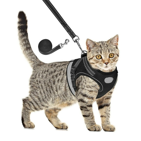 Cat Harness and Leash for Walking, Kitten Escape Proof Harnesses, Adjustable Reflective Puppy Harness with Leashes Set, Easy Adjustable Soft net Breathable Pet Safety Vest M