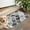 White-314, variant on Bohemian Retro Floral Non-Slip Entryway Door Mat,Boho Indoor Decor Durable Low Plush Door Mat,Washable Welcome Rug for Patio Hallway Home Decor 20x32 Inches