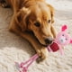 thumbnail image 4 of Juguetes para perros que les gusta masticar Juguetes para mascotas Squeaky Frog Rope Toys Juguetes trenzados para perros pequeños y medianos, 4 of 6