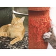 thumbnail image 5 of 2 Pcs 3Mx6.35cm Furniture Guard Cat Scratch Protector Anti-Scratch Tape Roll Cat Scratch Prevention Clear Sticker, 5 of 5