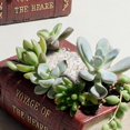 thumbnail image 4 of Planter Plant Pot For Indoor Outdoor s Flower Vintage Book, 4 of 8