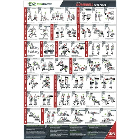 Activity Intensity Guide Stretching Posters For Gym Large Perceived Exertion Chart 24x36 ...