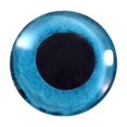 thumbnail image 2 of Blue Snow Owl Glass Eyes, 2 of 7