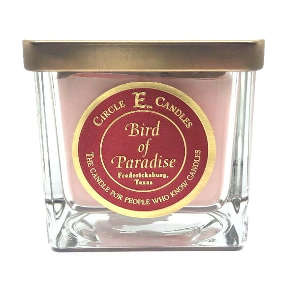 Circle E Candles, Bird of Paradise Scent, Small Size Jar Candle, 8oz, 1