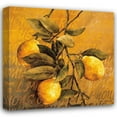 thumbnail image 1 of Linda Thompson 36x36 Gallery Wrapped Canvas Wall Art Titled - Lemon Branch, 1 of 4