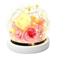thumbnail image 1 of Decoración de flores eternas, rosa más cubierta de cristal de hortensia con luces, regalos navideños, regalos de cumpleaños para familiares y amigos, 1 of 5