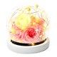 thumbnail image 1 of Decoración de flores eternas, rosa más cubierta de cristal de hortensia con luces, regalos navideños, regalos de cumpleaños para familiares y amigos, 1 of 5
