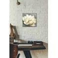 thumbnail image 2 of Epic Graffiti 'Magnolia Blossom on Gray' by Albena Hristova, Canvas Wall Art, 12"x12", 2 of 2