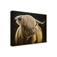 thumbnail image 2 of Hippie Hound Studios 'Black Background Highland Cow On Black ' Canvas Art, 2 of 3