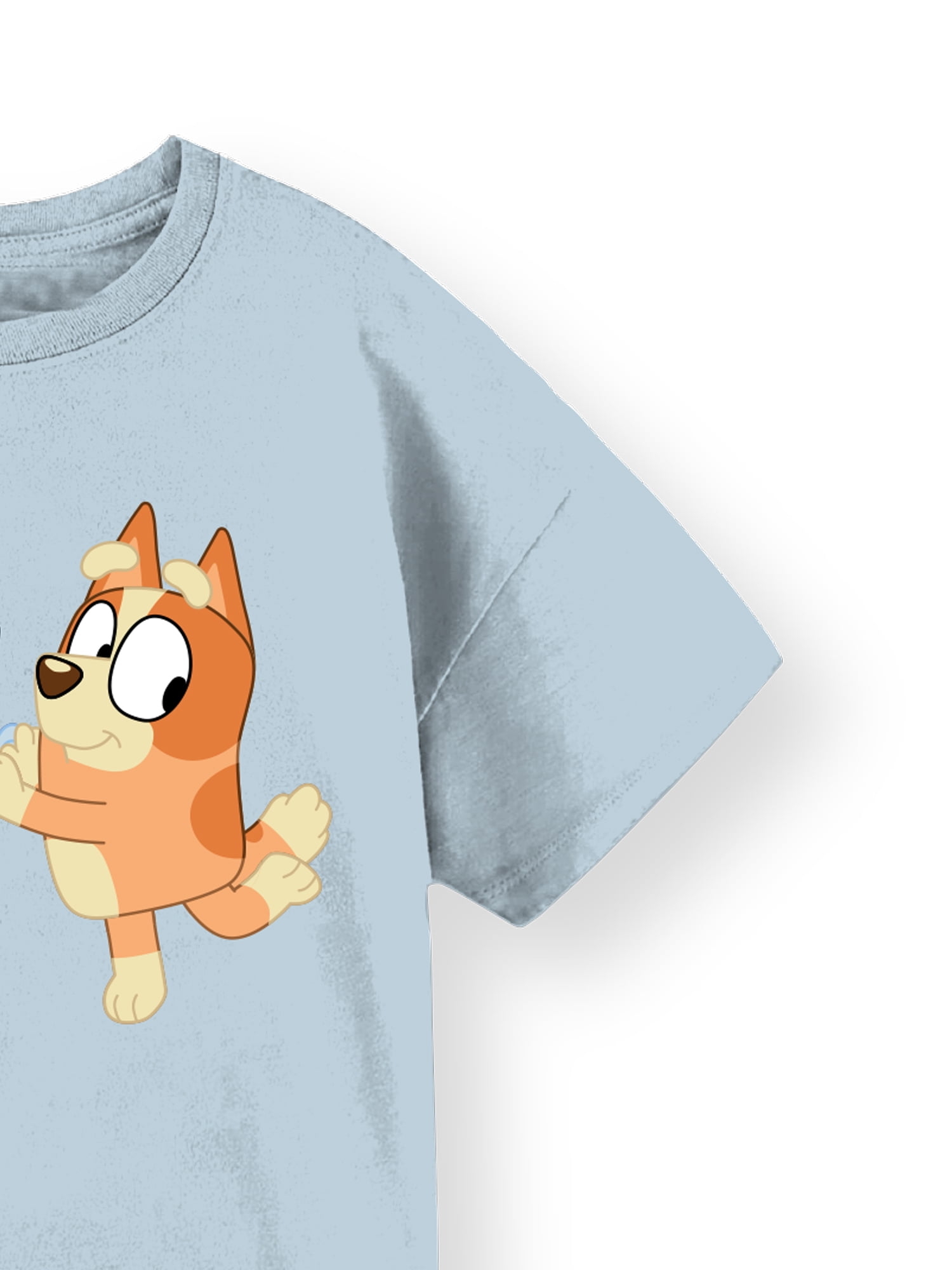 Bluey and Bingo Girls Short Sleeve Graphic T-Shirt, Sizes 4-16